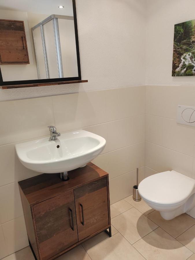 פירנה Ferienwohnung Elbtraum מראה חיצוני תמונה